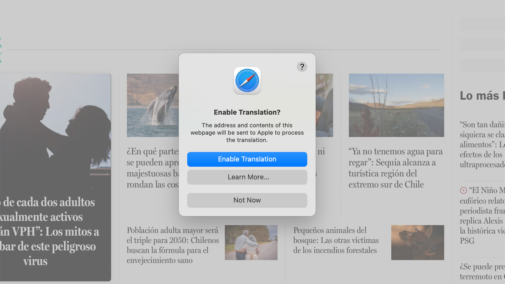Screenshot of Safari's translation tool.