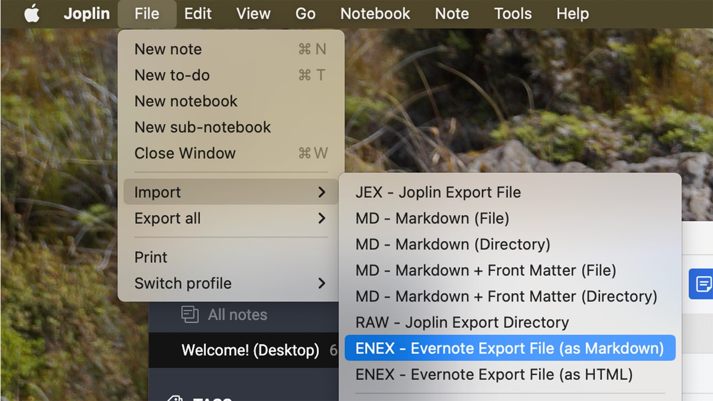 Screenshot of Joplin's app menu to import notes from Evernote.