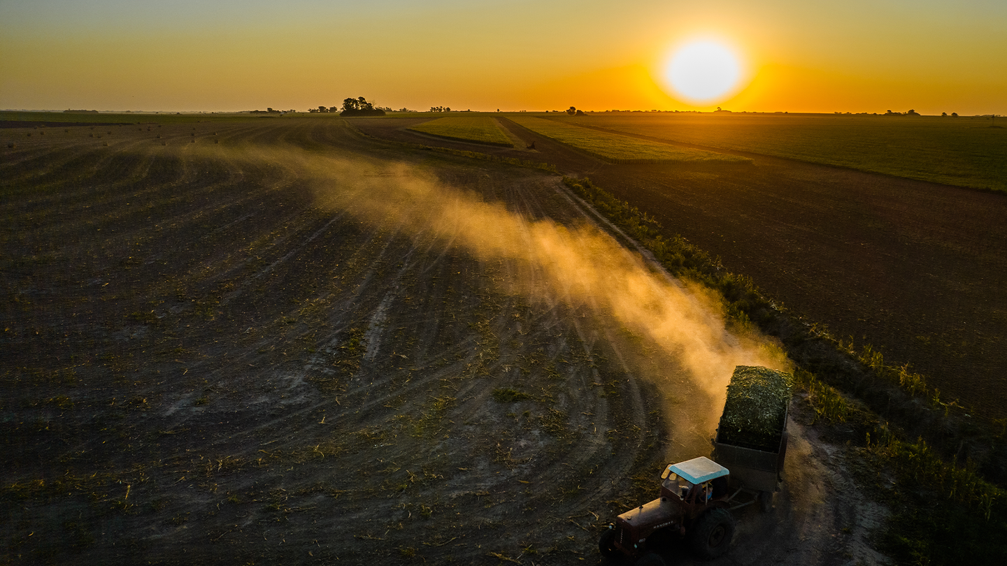 A tractor in Argentina drives over a dry and dusty soybean field with a blazing sun.