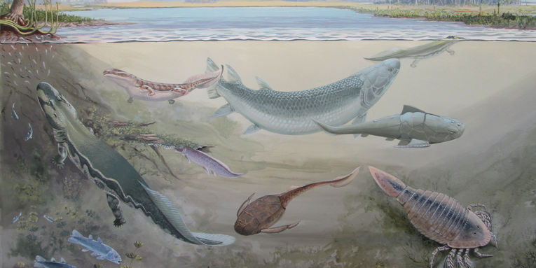 A gator-faced fish shaped like a torpedo stalked rivers 360 million years ago