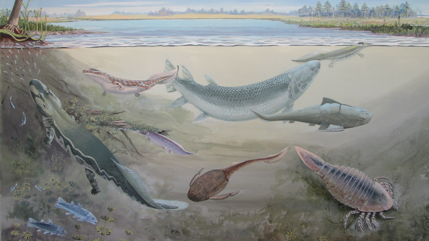 An illustration of Hyneria udlezinye, a large, predatory fish, with smaller fish in the Waterloo Farm ecosystem in South Africa about 360 million years ago.