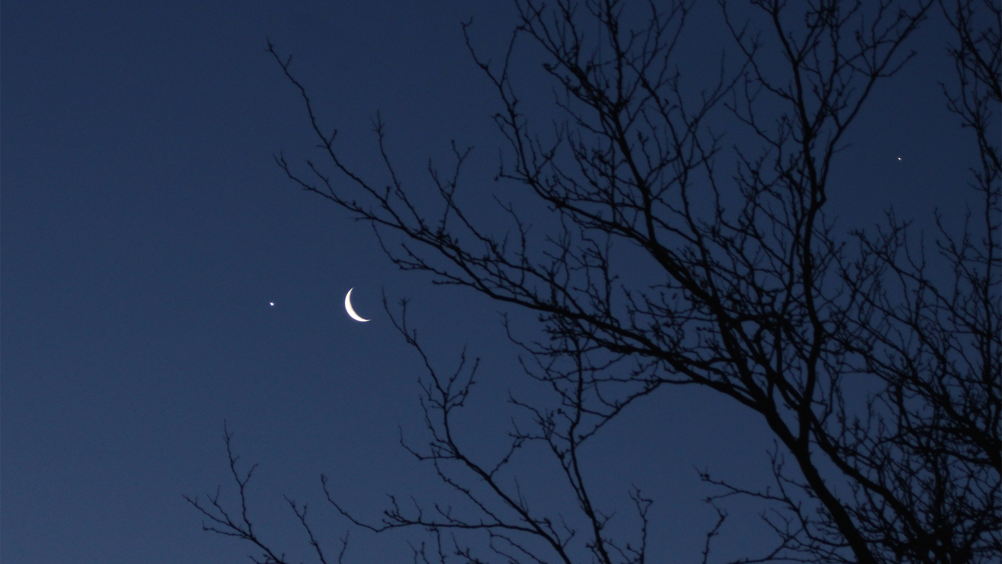 Venus (left), the waning crescent Moon, and Jupiter (right), appear together in the skies above Salt Lake City, Utah on January 31, 2019.