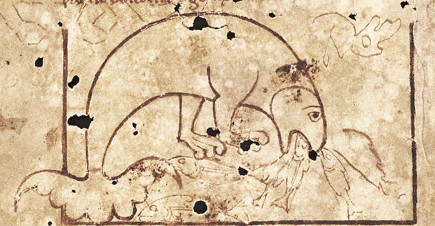 An illustration of a Norse sea creature feeding.