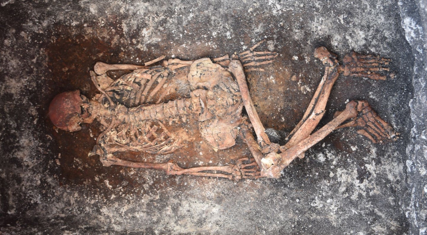 The skeleton of a possible Yamnaya horse rider.