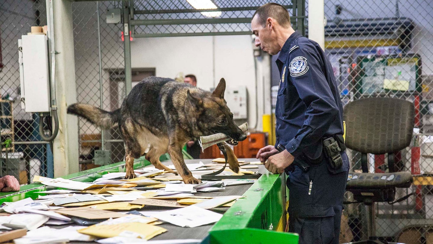 In this 2017 photo, a narcotic detection dog alerts a U.S. Customs officer to a package containing a narcotic at the international mail facility in Chicago.