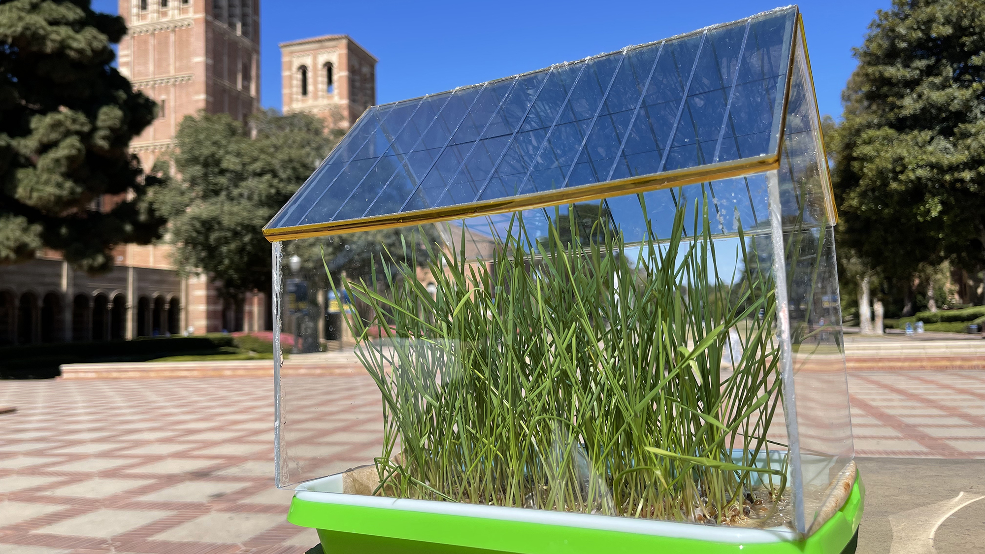 Scientists think this tiny greenhouse could be a game changer for agrivoltaics
