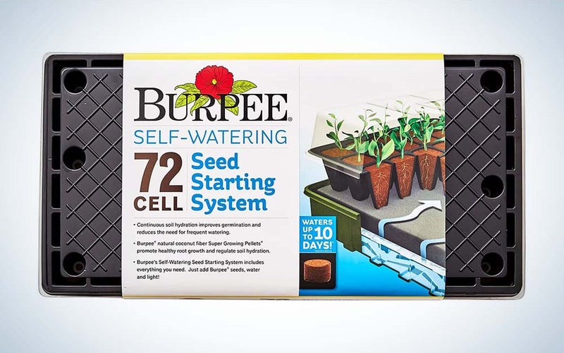 The Burpee Self-Watering Seed Starter is the best seedling starter tray with a watering mat.