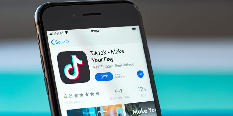 Why some US lawmakers want to ban TikTok