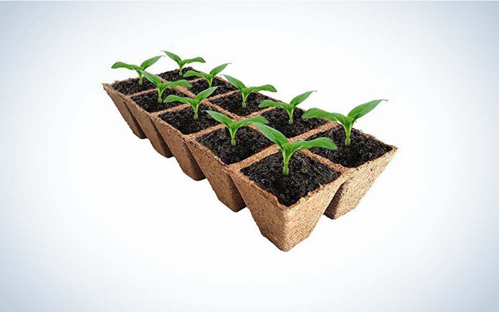 The Jolly Grow Seed Starter Peat Pots Kit is the best seedling starter trays that's biodegradable.