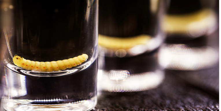 What kind of worm is in your mezcal?