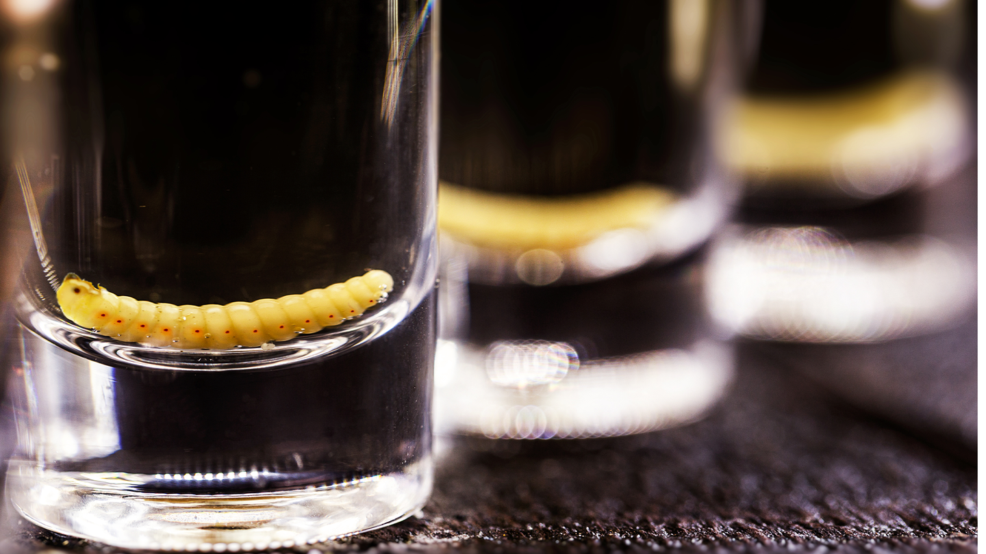 A worm at the bottom of a shot glass of Mezcal.