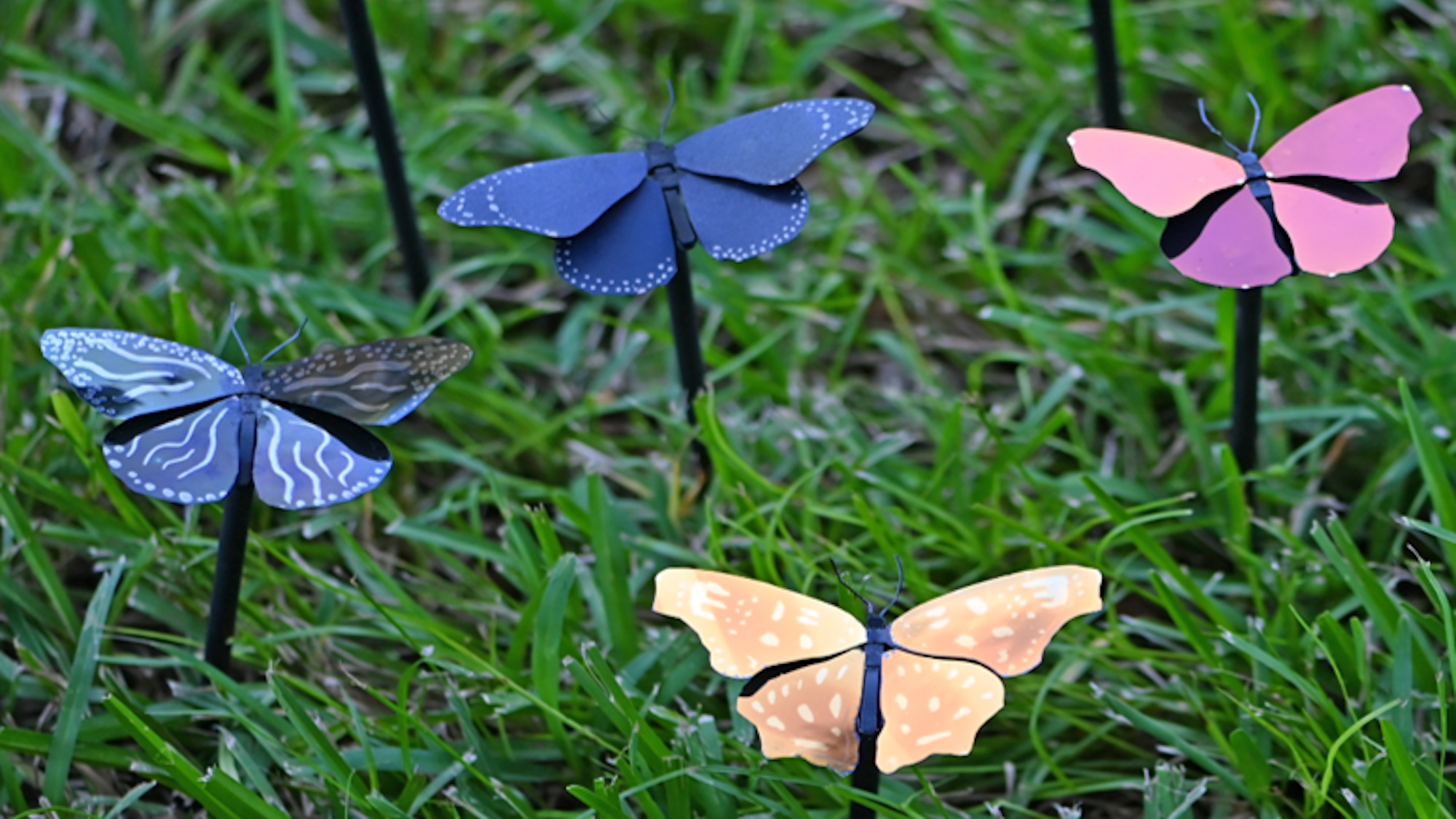 Butterfly cutouts painted with plasmonic paint hues against grass background