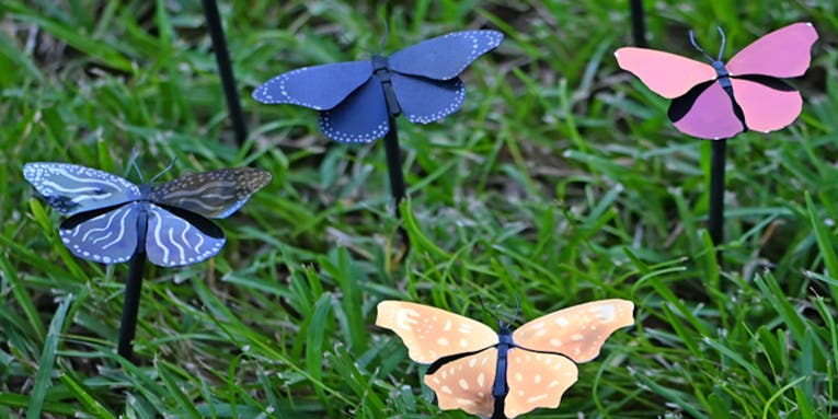 Butterfly-inspired ‘plasmonic paint’ could be brilliant for energy-efficient buildings
