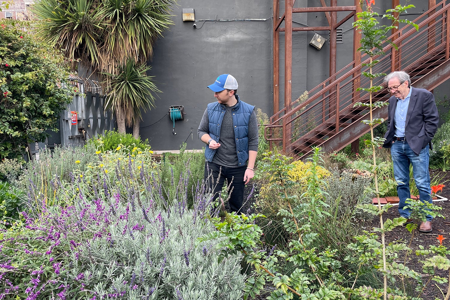 Two men in blue suits walking through a green and purple city garden grown with human manure