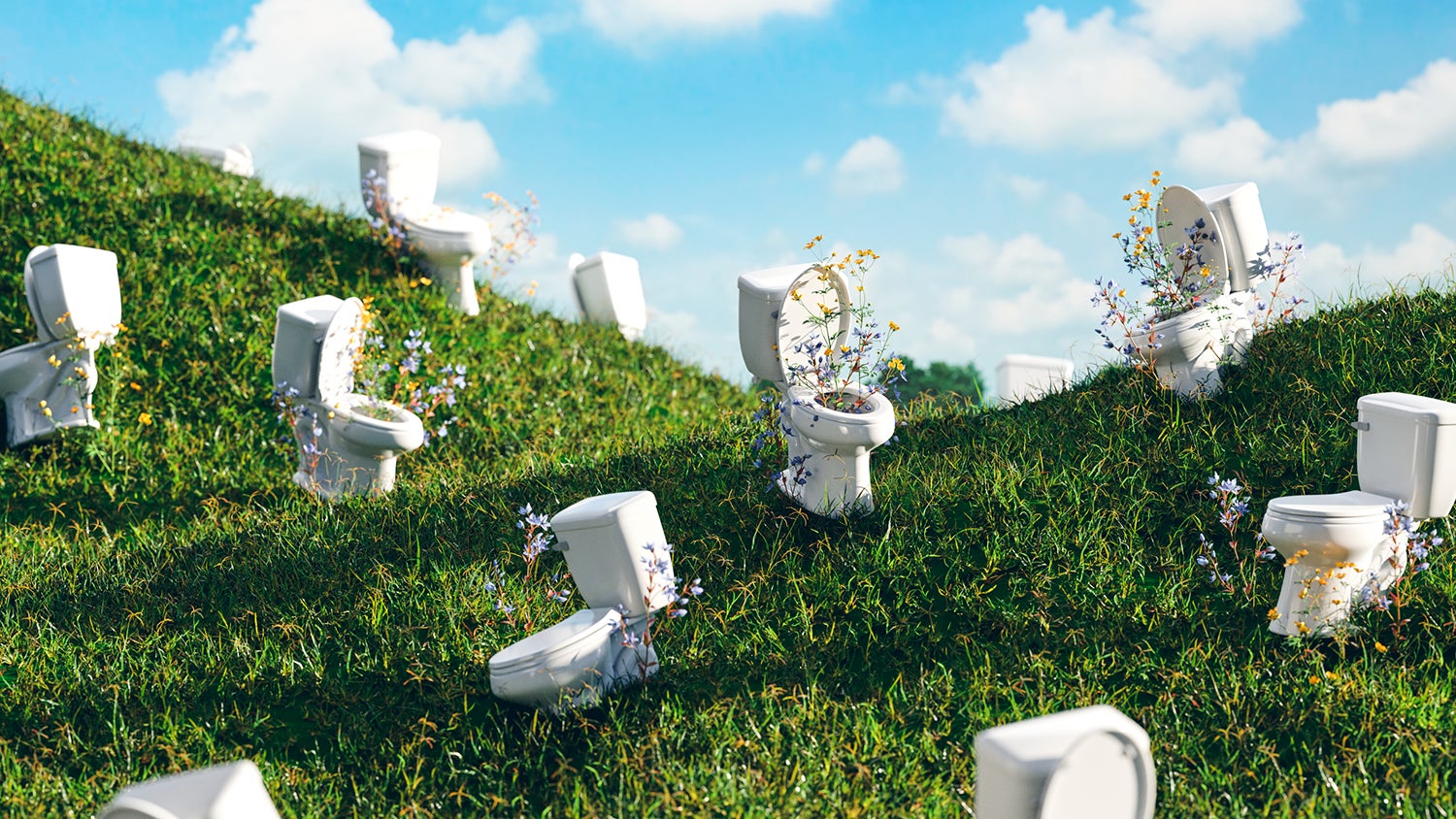 White toilets with flowers growing out of them, set on a grassy hill against a backdrop of fluffy clouds