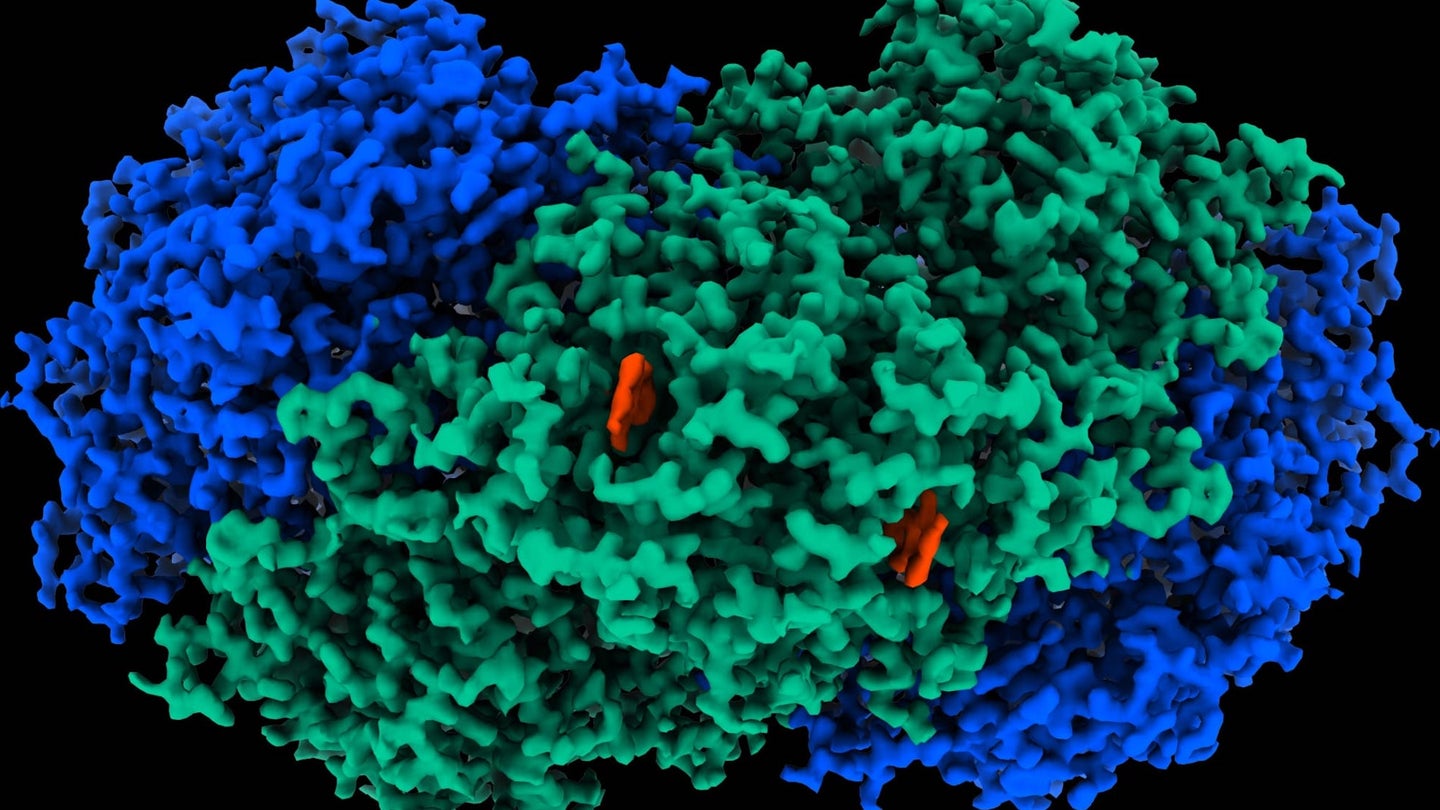 Atomic structure image of Mycobacterium smegmatis Huc enzyme