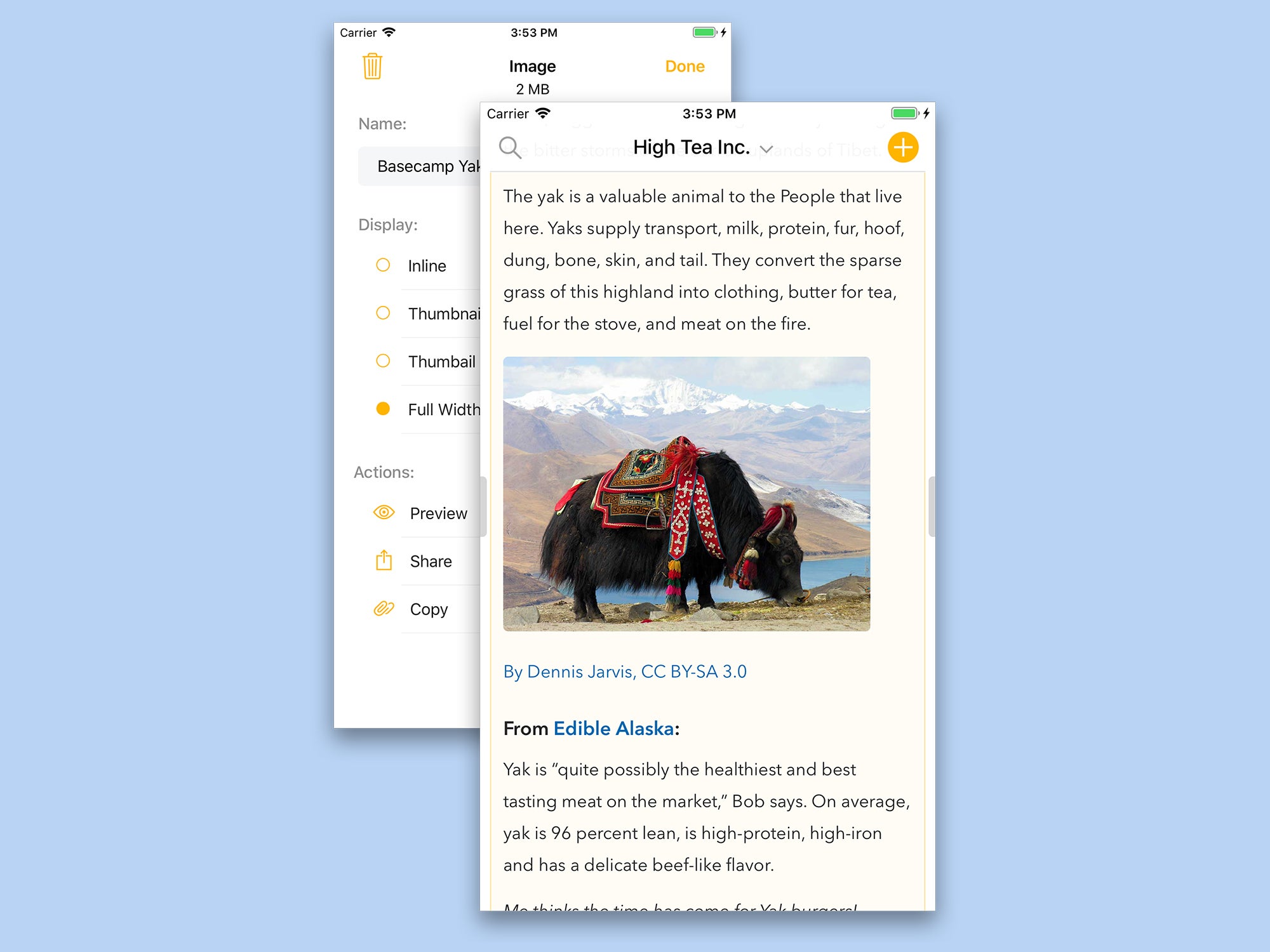 The Agenda note-taking app as it appears on your phone screen.