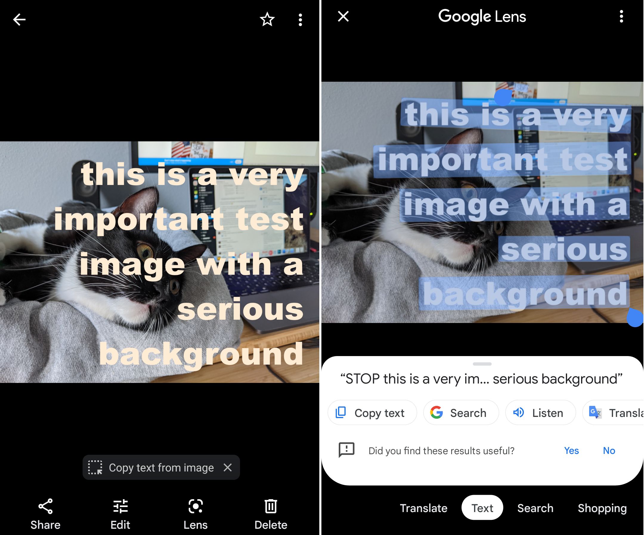 Скриншоты рядом с изображением кота, открытым в Google Фото и приложении «Камера» Android с наложенным и выделенным текстом.