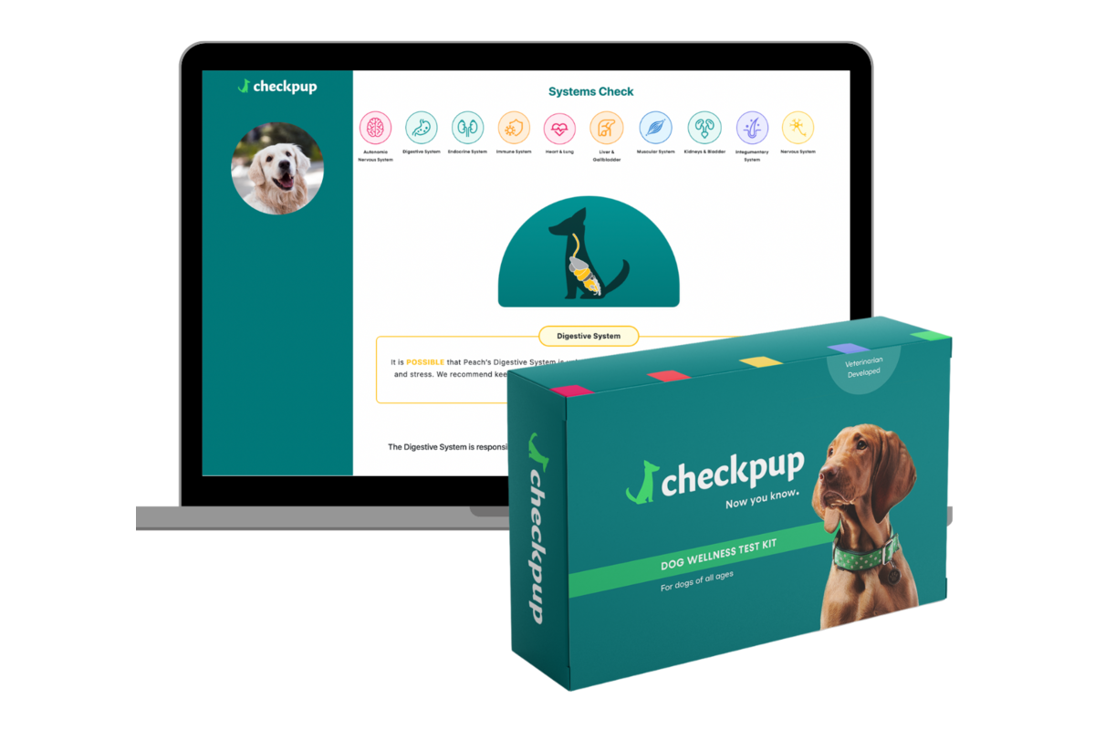 Get a wellness test for your dog with this $120 kit