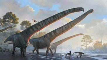 This dinosaur’s record-breaking neck defies the laws of nature