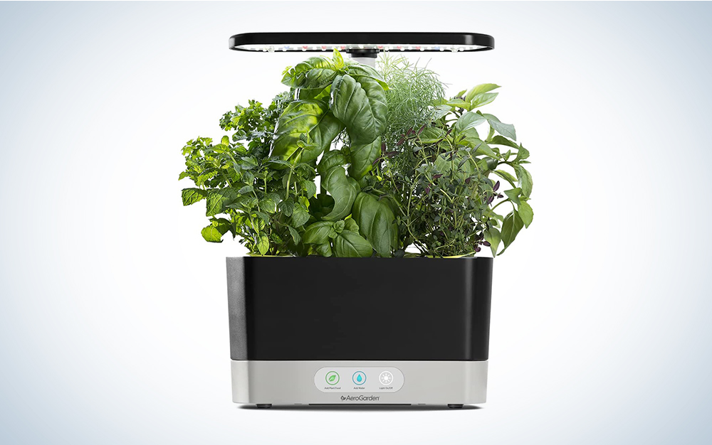 An AeroGarden hydroponic garden system on a blue and white background.