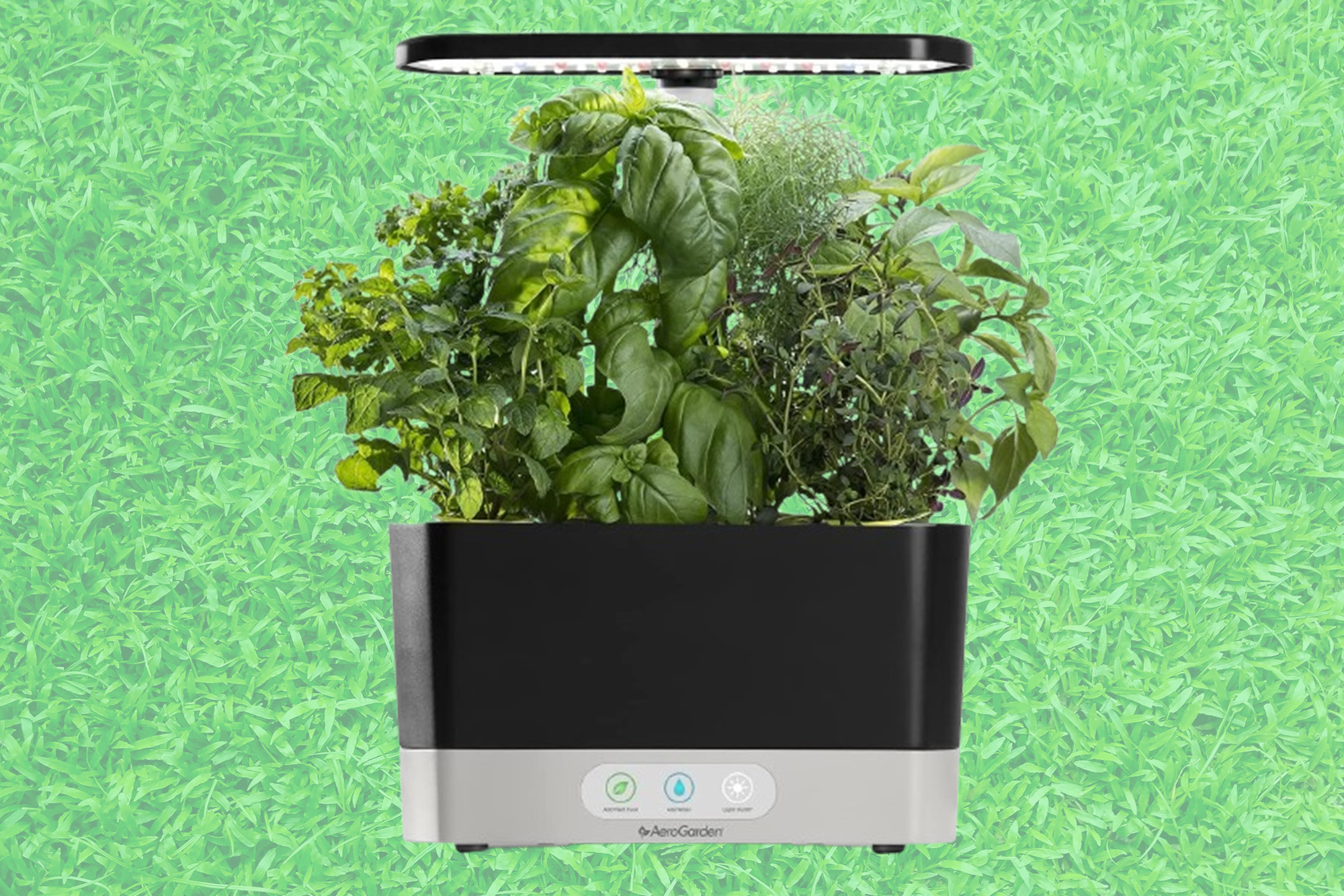 Grow greens while saving some with an AeroGarden at its lowest-ever price on Amazon