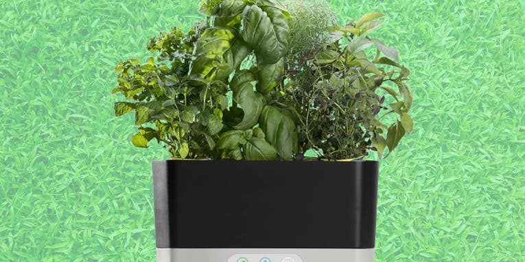 Grow greens while saving some with an AeroGarden at its lowest-ever price on Amazon