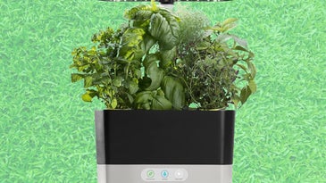 Get your spring on with 52% off AeroGarden at Amazon
