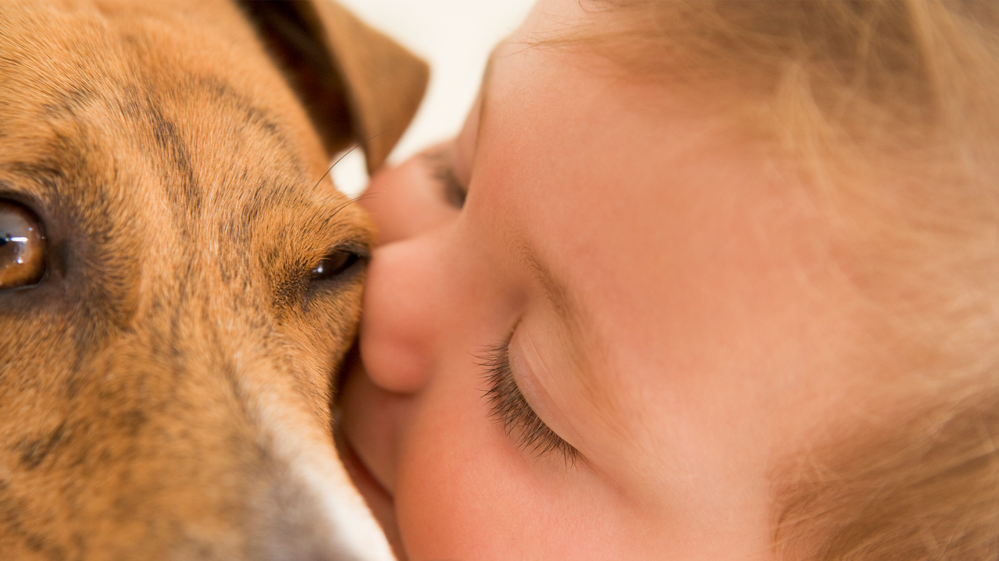 A baby kisses a small dog