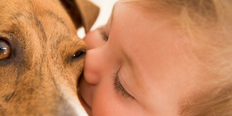 Babies who grow up around pets may be less likely to develop food allergies