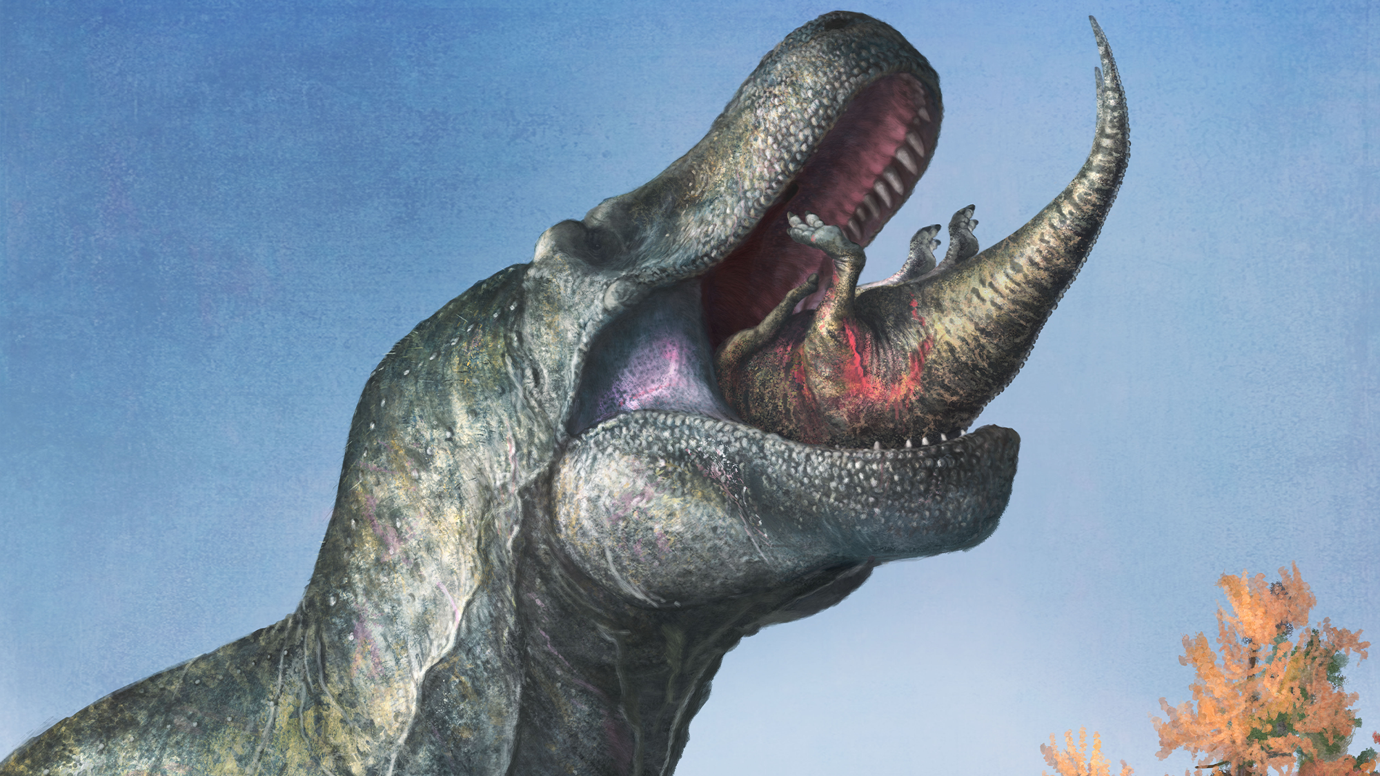 A juvenile Edmontosaurus disappears into the enormous, lipped mouth of Tyrannosaurus.