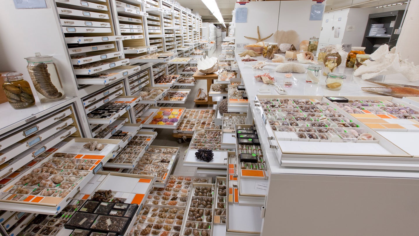 A peek into the vaults of the Smithsonian Institution's National Museum of Natural History.
