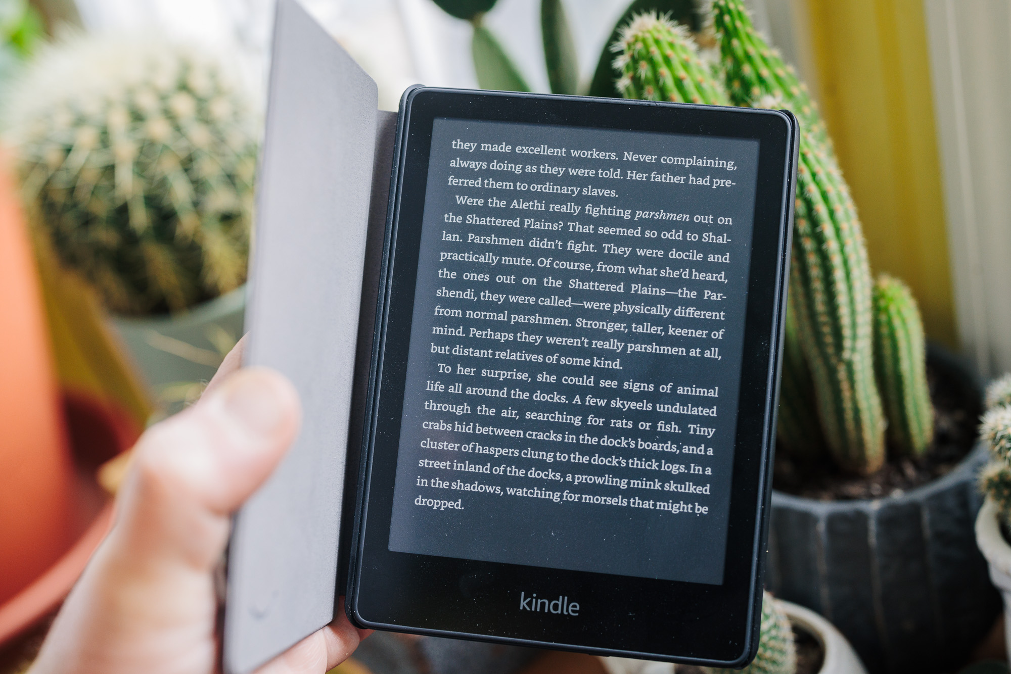 Amazon Kindle Paperwhite open in front of cactuses