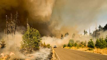 In the future, your car could warn you about nearby wildfires