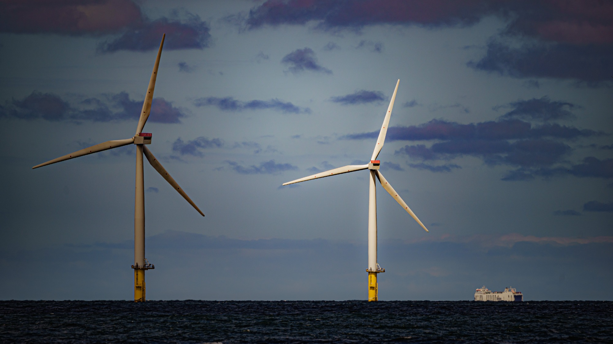 Offshore wind power is a booming slice of the renewable energy mix. But like everything else, building machines in the ocean has some side effects. 
