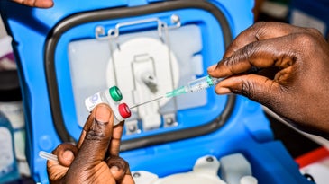 Ghana is the first country to approve Oxford’s malaria vaccine