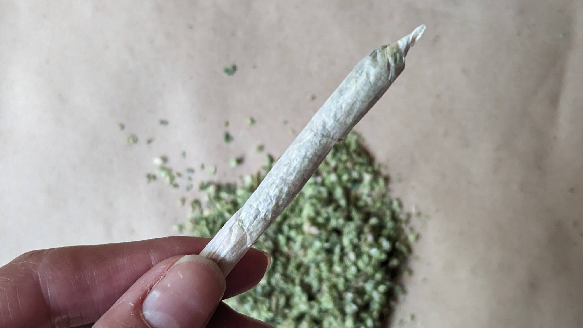 How to roll a Blunt, Spliff or Joint - MSNL Blog