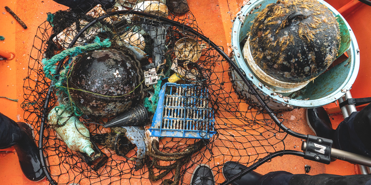 Some coastal critters are thriving in the Great Pacific Garbage Patch