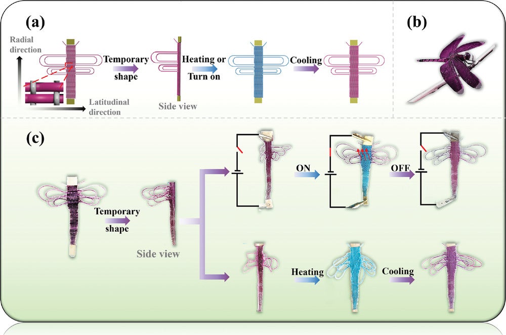 Illustrations of smart material step-by-step transition to mimic dragonfly shape 