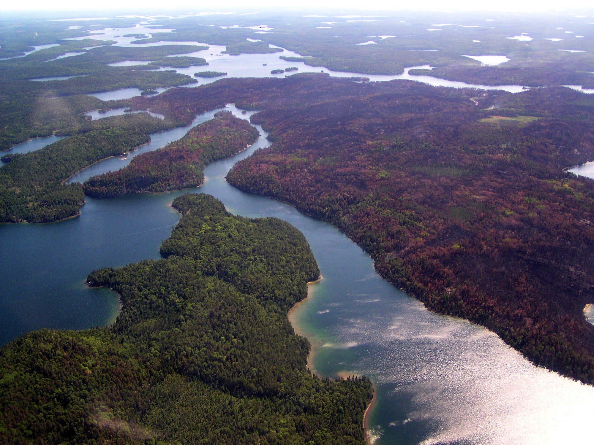 Voyageurs National Park in Minnesota is abundant with lakes and wetlands.
