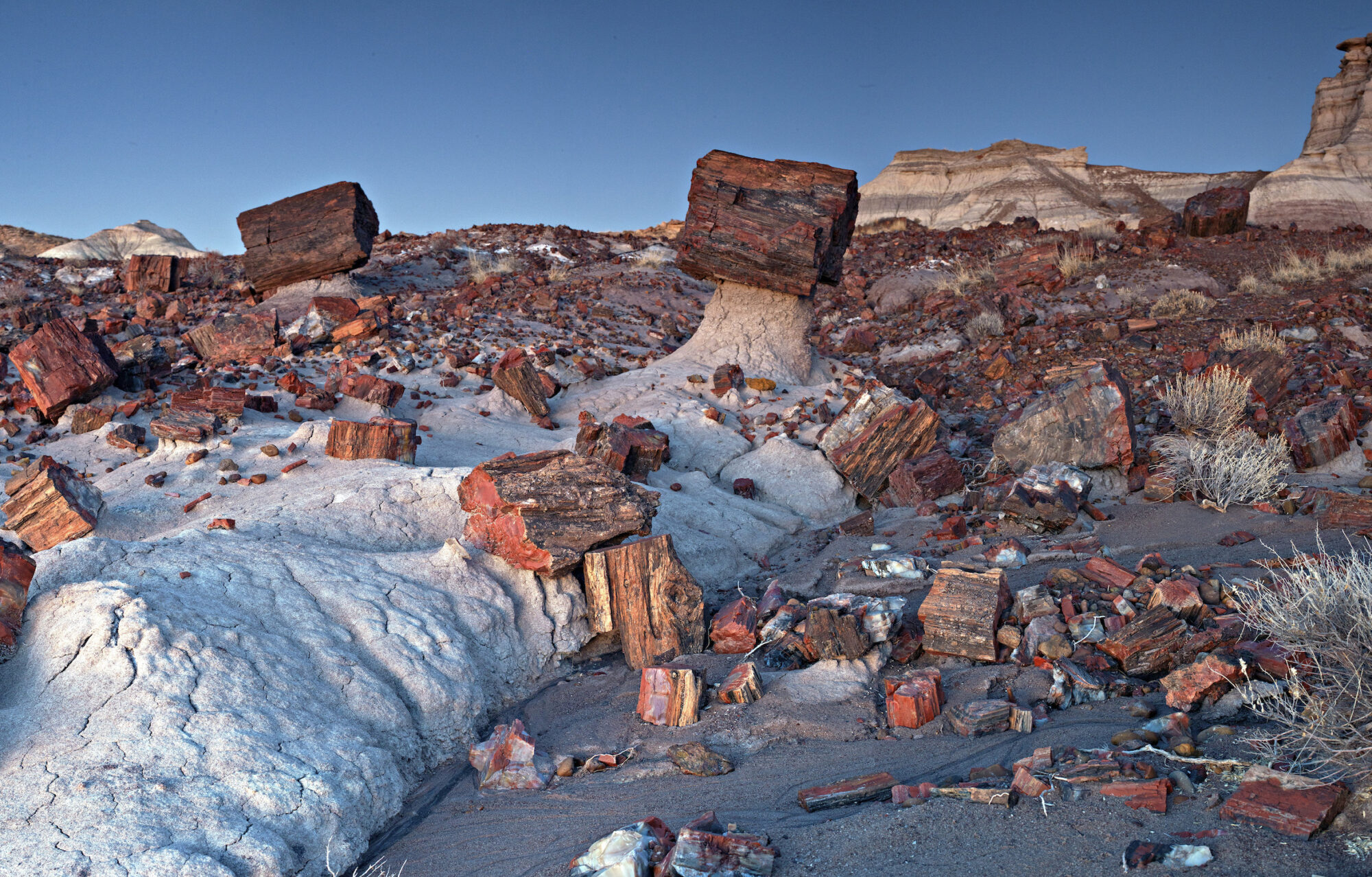 Red petrified wood scattered across the landscape at Petrified Forest National Park