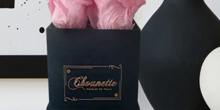 Hassle-free Mother’s Day gift: preserved roses shipped right to her door for just $29