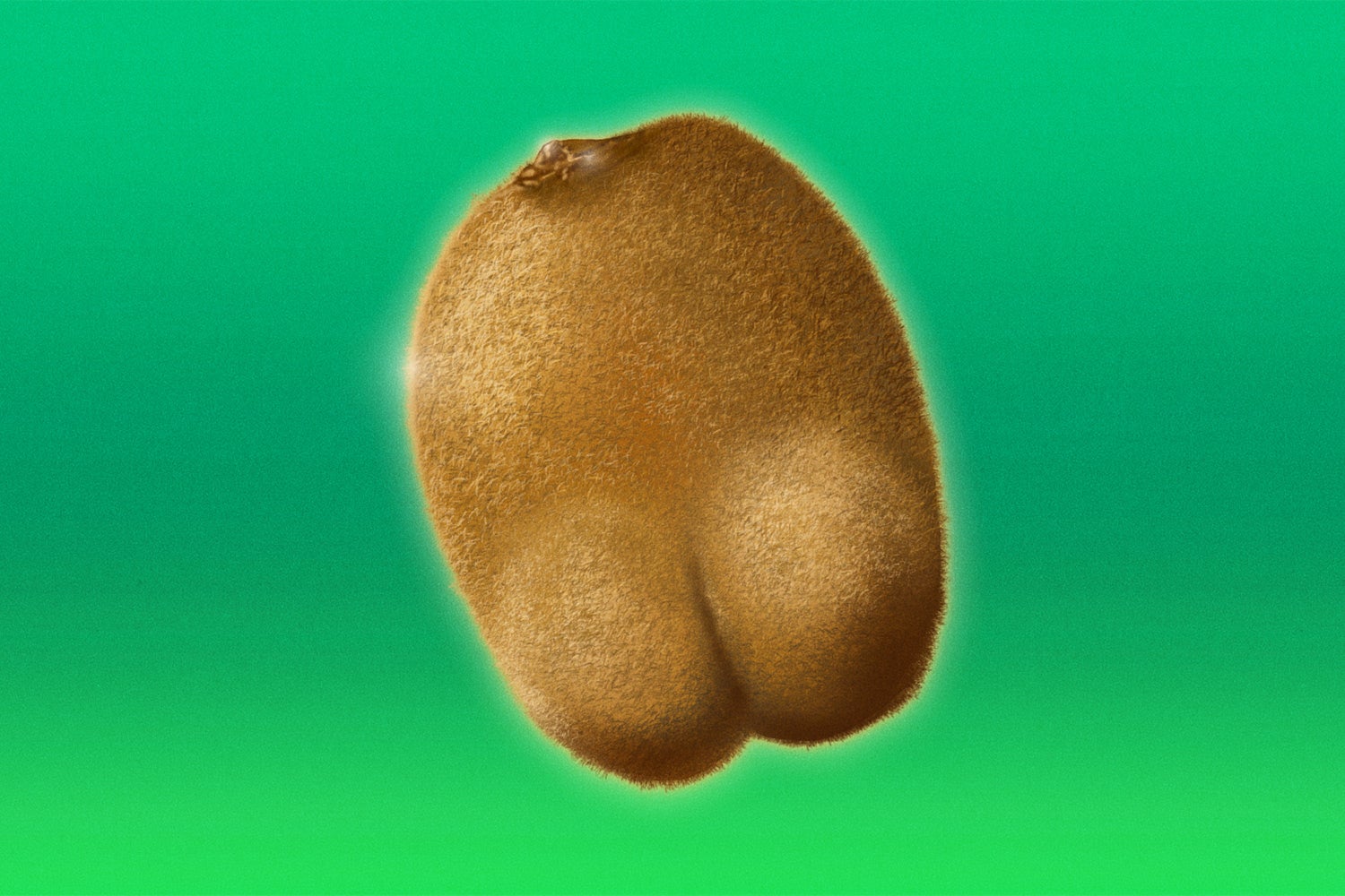 Brown fuzzy kiwi shaped like a butt on a green ombre background