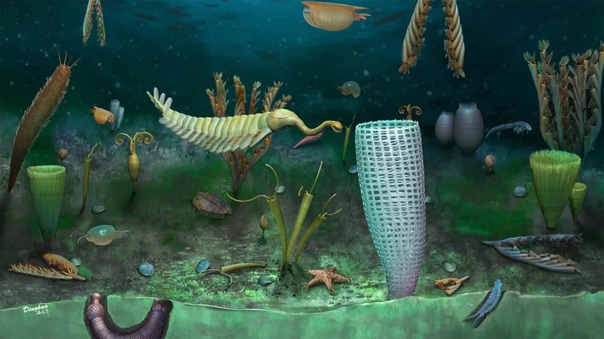 Fossil trove in Wales is a 462-million-year-old world of wee sea creatures