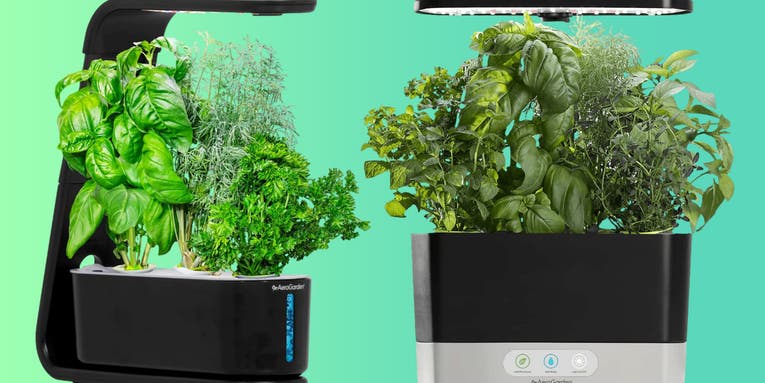 Give Mom the gift of fresh herbs with 60% off an AeroGarden on Amazon
