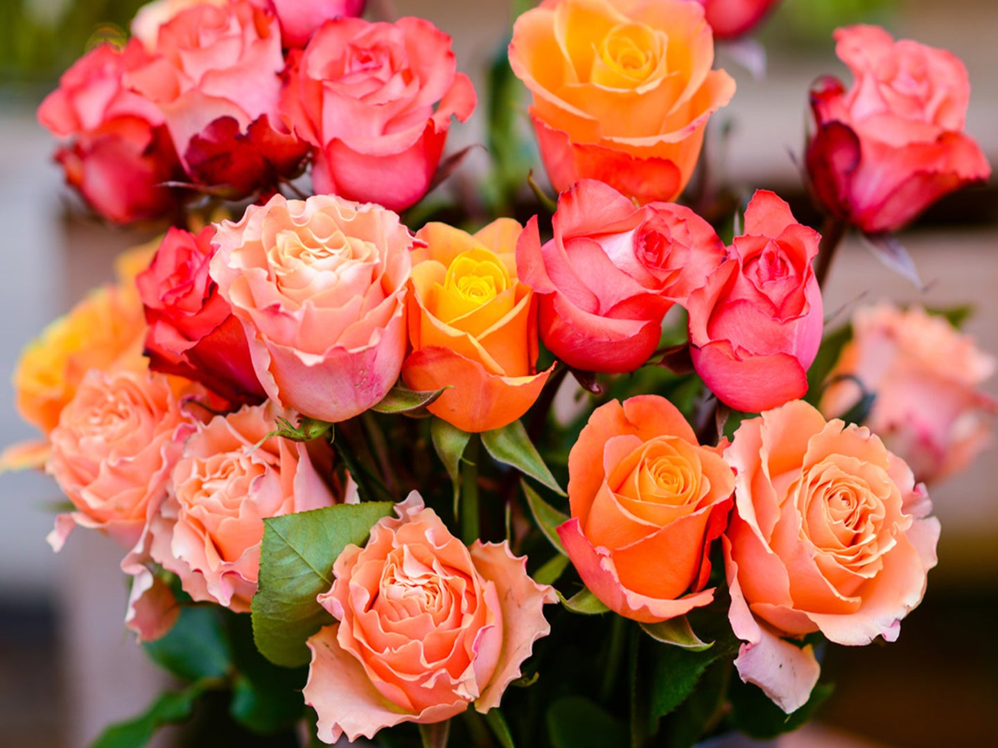 A bouquet of pink and orange roses
