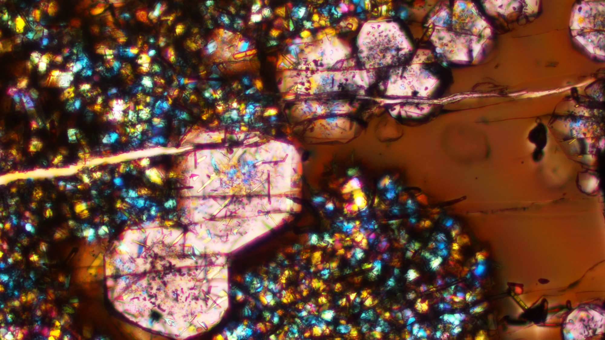 A microscope image from an experiment conducted for a study on continental crust. The image contains glass (brown), large garnets (pink), and other small mineral crystals. The field of view is 410 microns wide, about size of a sugar crystal