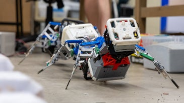 To build a better crawly robot, add legs—lots of legs