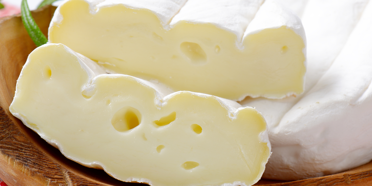 A hunk of cheese is a perfect playground for fungal antibiotics