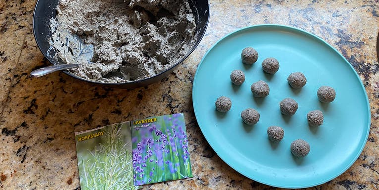 Make your own seed bombs to garden on the go
